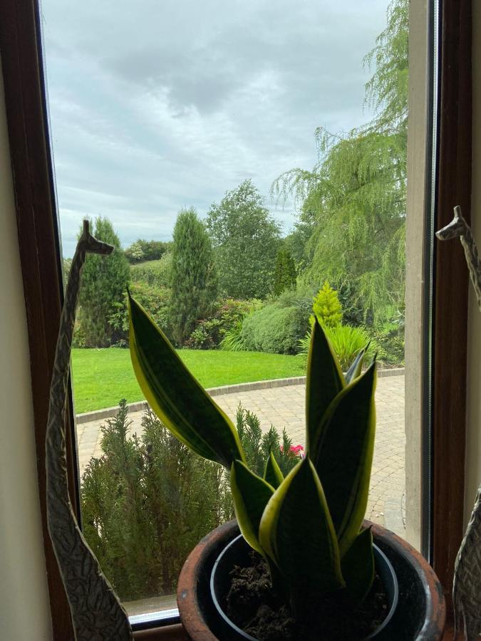 Corness House B&B Monaghan Eksteriør billede
